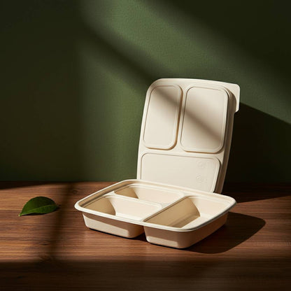 Biodegradable Bento Box