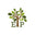 EcoGreen Packaging